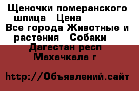 Щеночки померанского шпица › Цена ­ 25 000 - Все города Животные и растения » Собаки   . Дагестан респ.,Махачкала г.